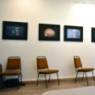 Megnyílt a Ceglédi Fotóklub kiállítása