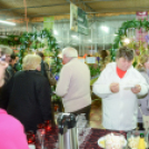 Orchideák éjszakája az Oázis kertészetben