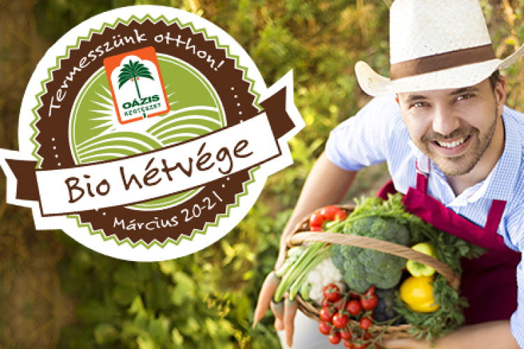 Bio hétvége az Oázisban