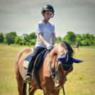 II. Ceglédi Vágta - kísérő rendezvények