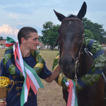 Bor és laskafesztivál - II