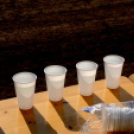 II. Romhányi Zoltán emlékfutás