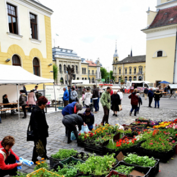 Régi idők piactere - VÁROSNAPOK