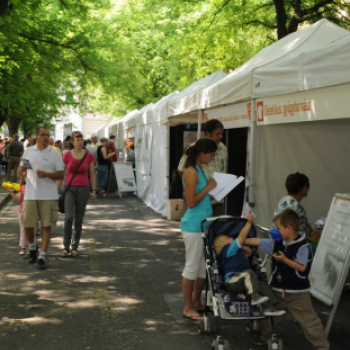 Richter egészségváros - Cegléd