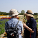 Kováts Zoltán Emlékülés Csemőben