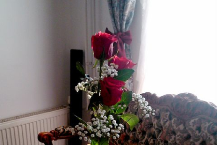 BAÁN KATALIN fotókiállítása(telefonos fotóriport)