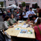 XXII. Toborzó Ünnepély és Huszárfesztivál - I.