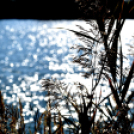 Éhmann Ferenc Horgászverseny