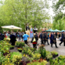 Anyák napi virágvásár és Anyám tyúkja főzőverseny