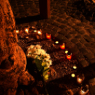 In memoriam november 4.