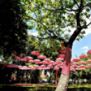 Pöttyös gyermeknap 2019