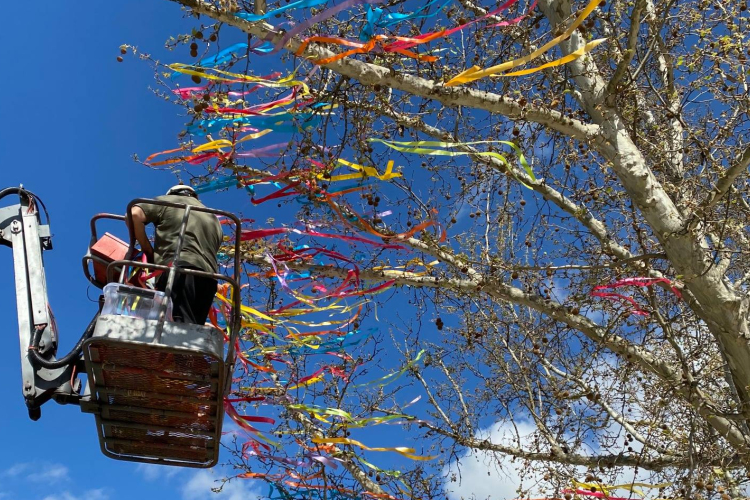 Májusfa a Kossuth téren