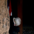 In memoriam november 4.