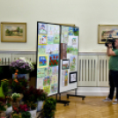 Legszebb rajzok - legszebb kertek