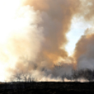 Száraz növényzet égett