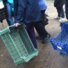 Szebb, virágosabb Ceglédért