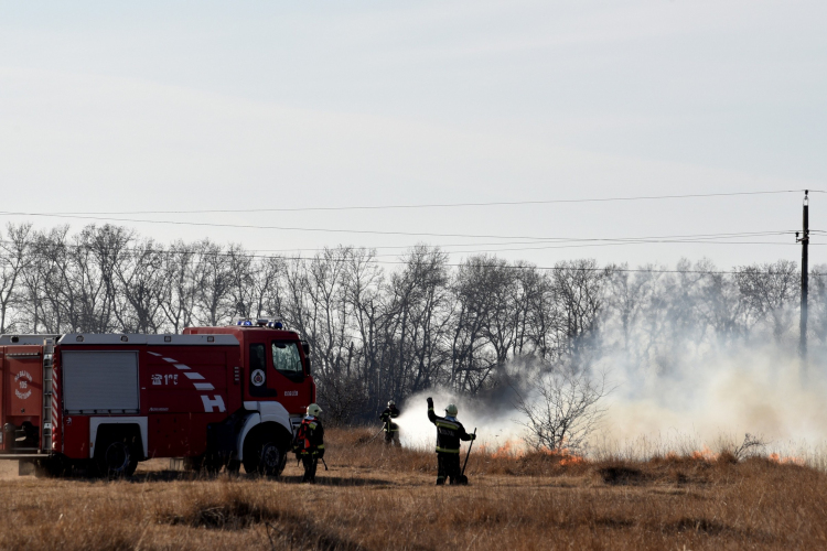 Száraz növényzet égett