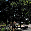 Csemőben is járt a nemzetközi zsűri