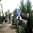 Karácsonyfa díszítő verseny