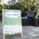 Utcazene Fesztivál - VÁROSNAPOK