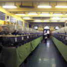 Ceglédi galamb mustra