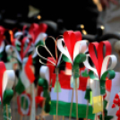 Gyerekek munkái - Március 15