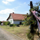 XIII. Nyitott Pince Nap