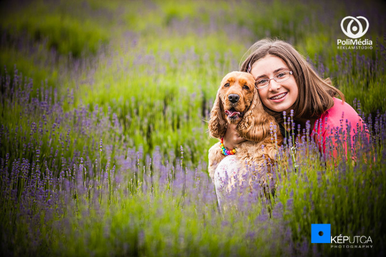 A kedvencek visszatértek