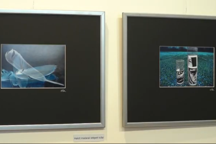 Csendéletek? – Apáti-Tóth Sándor tárlata