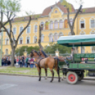 Szerenádoztak a gimisek