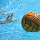 Győzelemmel kezdett a ceglédi csapat