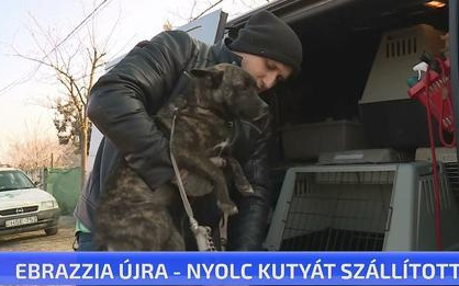 Újabb ellenőrzést tartottak