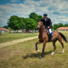 II. Ceglédi Vágta - kísérő rendezvények
