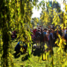 Állatok világnapja a Vörösmarty téren