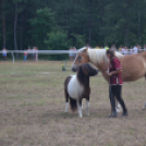 A lovak nyelvén – Hamza Viktória