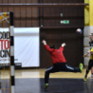 Ceglédi Kék Cápák - Fehérvár KC II. 22 - 28 ( 12 - 14 )