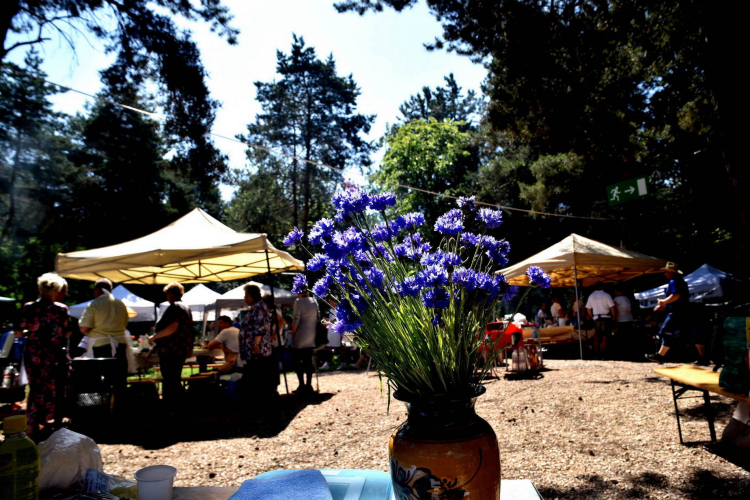 Főzőverseny a Laskafesztiválon