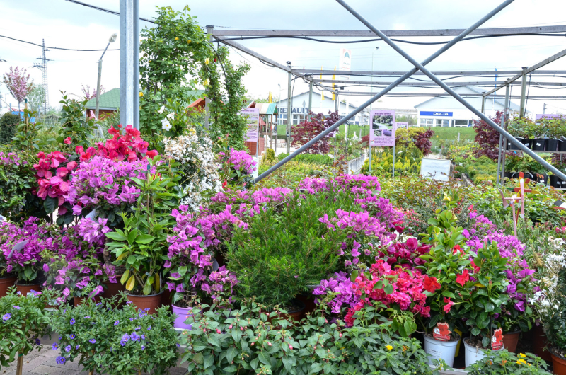 Oázis Kertészeti Áruház