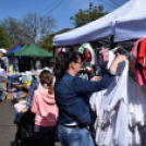 Virágvásár és főzőfesztivál Csemőben