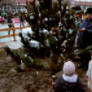 Karácsonyfa díszítő verseny