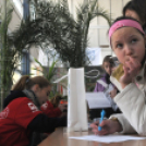 Arany Oroszlán Sport- és Egészségnap Cegléden