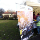 Infineon ételosztás