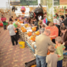 Családi tökfaragás - Oázis Kertészeti Áruház