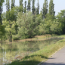 Ceglédi önkéntesek az árvízi védekezésben