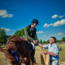 II. Ceglédi Vágta - kísérő rendezvények