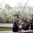 Katasztrófavédelmi ifjúsági verseny