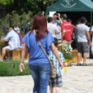 Városi Nyitott Pince Napok 2013