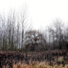 Vadak karácsonya Nyársapáton