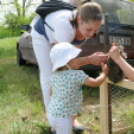 Hétközepi majális