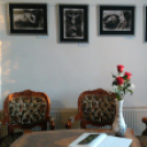 BAÁN KATALIN fotókiállítása(telefonos fotóriport)